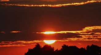 Кадр з фільму Кінотеатр жахів