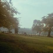 Кадр з фільму Мулен Руж