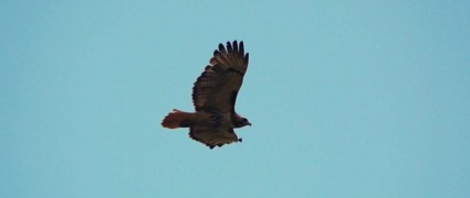 Кадр з фільму Золото