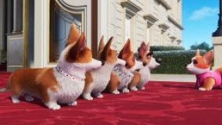 Кадр з фільму Королівський коргі