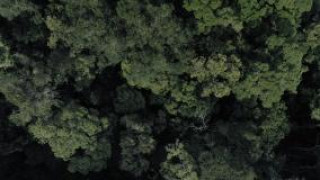 Кадр з фільму Гея