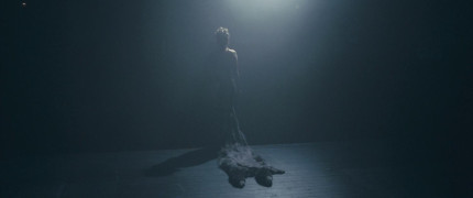 Кадр з фільму Венера в хутрі