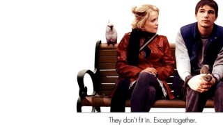 Кадр з фільму Моцарт і Кит