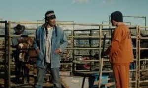 Кадр з фільму Мустанг