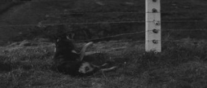 Кадр з фільму Пасажирка