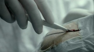 Кадр з фільму Мавпа на плечі