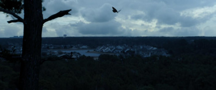 Кадр з фільму Монстри літа