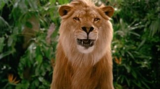 Кадр з фільму Джордж із джунглів 2