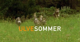 Кадр з фільму Вовче літо