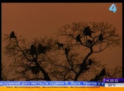 Кадр з фільму Джок