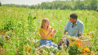 Кадр з фільму Поцілуй кухаря