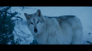 Кадр з фільму Мати