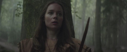 Кадр з фільму Кров вікінгів