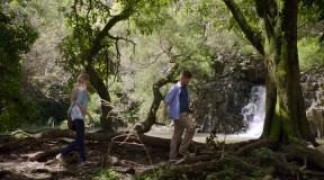 Кадр з фільму Блакитна лагуна: Пробудження