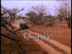 Кадр з фільму Діти савани