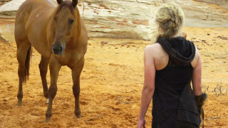 Кадр з фільму Вціліла