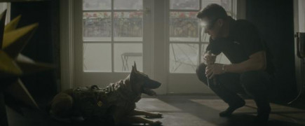 Кадр з фільму Дог