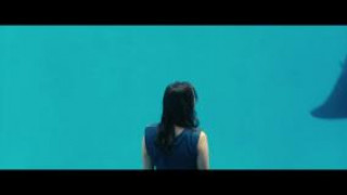 Кадр з фільму Іржа і кістка