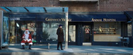 Кадр з фільму Друг