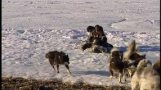 Кадр з фільму Атанаржуат: Швидкий Бігун