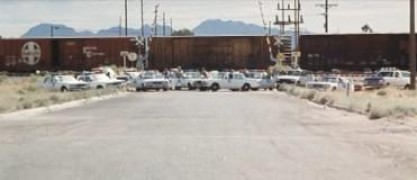 Кадр з фільму Квітка на дорозі