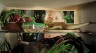 Кадр з фільму Повернення на острів Нім