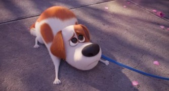 Кадр з фільму Секрети домашніх тварин 2