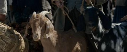 Кадр з фільму Поклик пращурів