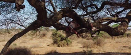 Кадр з фільму Хижаки