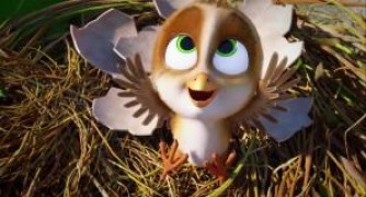 Кадр з фільму Пташиний ульот