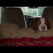 Кадр з фільму Наодинці зі смертю