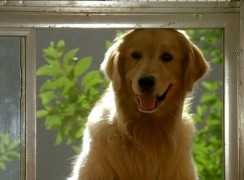 Кадр з фільму Король повітря. Сьома подача