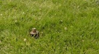 Кадр з фільму Однокласники 2