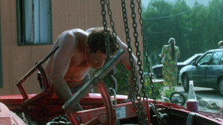 Кадр з фільму Білий олеандр