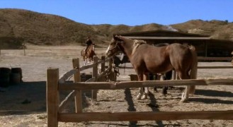 Кадр з фільму Мрія любові