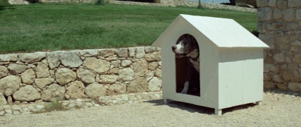 Кадр з фільму Він починає сердитися, або Гірчиця б'є в ніс