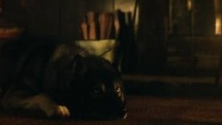 Кадр з фільму Тоґо