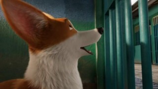 Кадр з фільму Королівський коргі