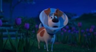 Кадр з фільму Секрети домашніх тварин 2