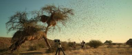 Кадр з фільму Звір