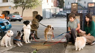 Кадр з фільму Готель для собак