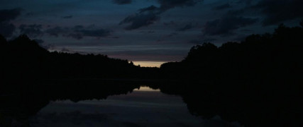 Кадр з фільму Слендермен