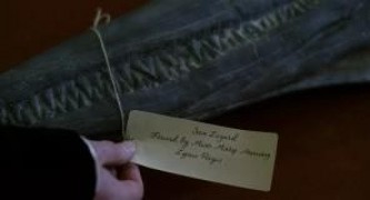 Кадр з фільму Амоніт