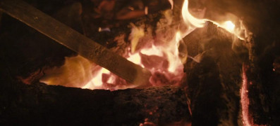 Кадр з фільму Дикий пес