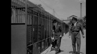 Кадр з фільму Умберто Д.