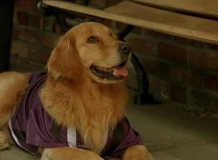 Кадр з фільму Король повітря. Сьома подача