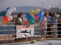 Кадр з фільму Акули 2