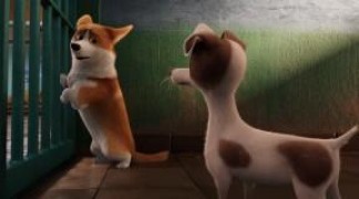 Кадр з фільму Королівський коргі