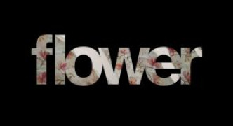 Кадр з фільму Квітка