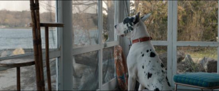 Кадр з фільму Друг